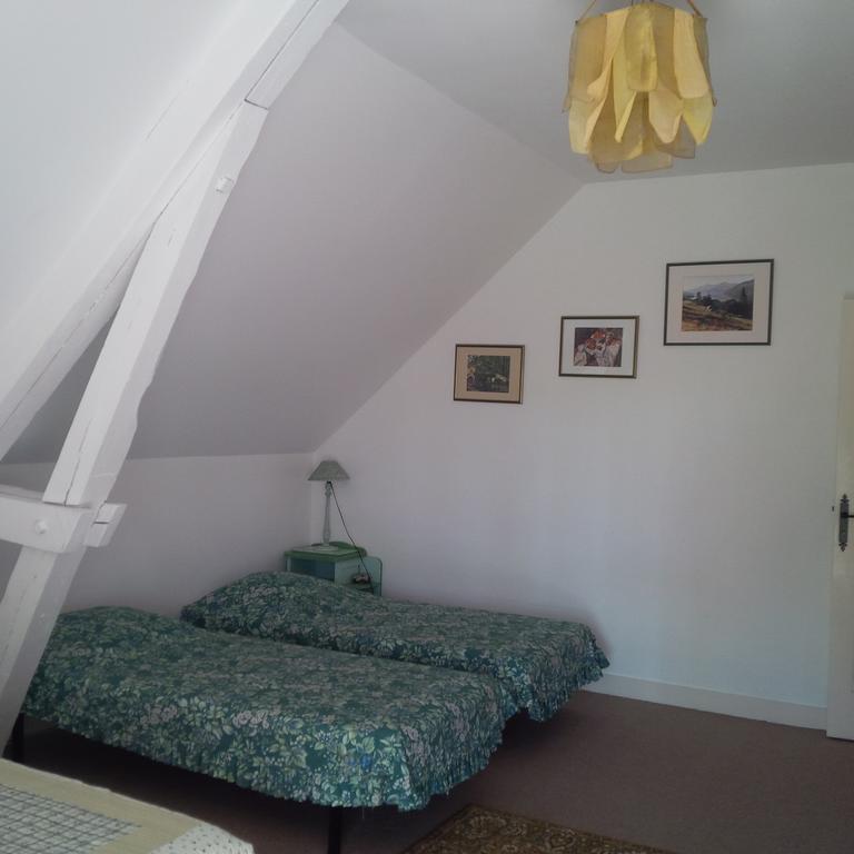 Manoir De La Rousselliere Aparthotel Loches Ruang foto