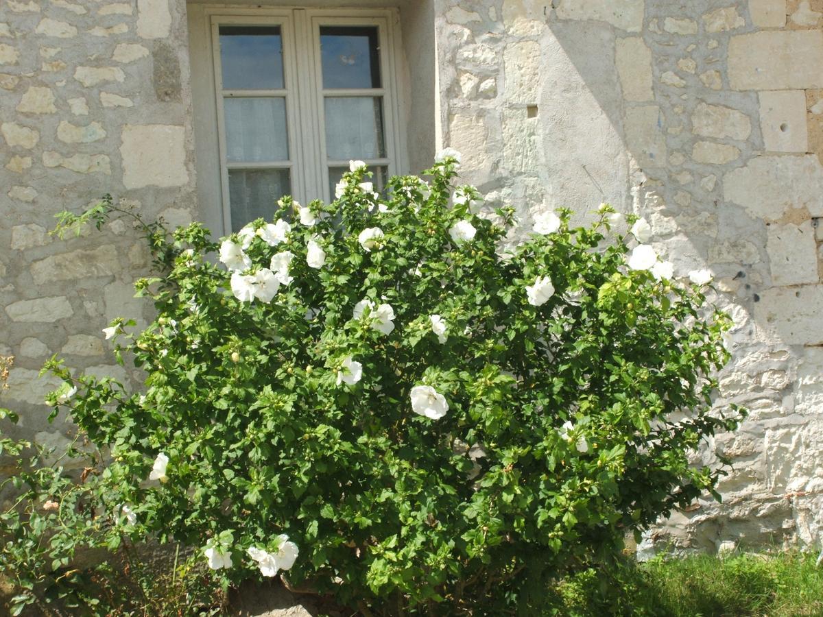 Manoir De La Rousselliere Aparthotel Loches Bagian luar foto